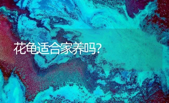 花龟适合家养吗？ | 动物养殖问答