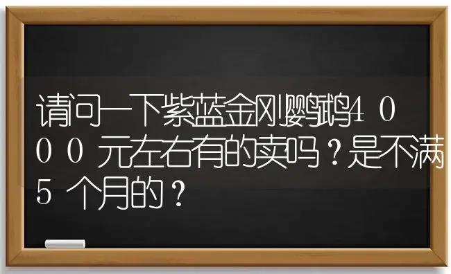 请问一下紫蓝金刚鹦鹉4000元左右有的卖吗？是不满5个月的？ | 动物养殖问答