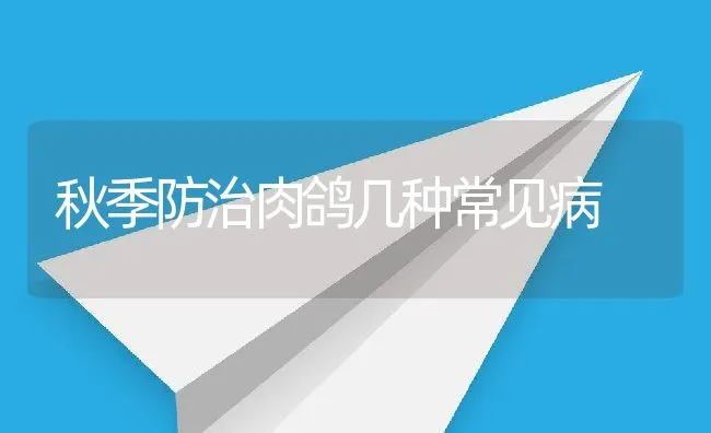 秋季防治肉鸽几种常见病 | 动物养殖学堂