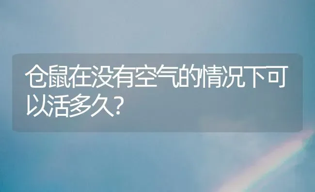 仓鼠在没有空气的情况下可以活多久？ | 动物养殖问答