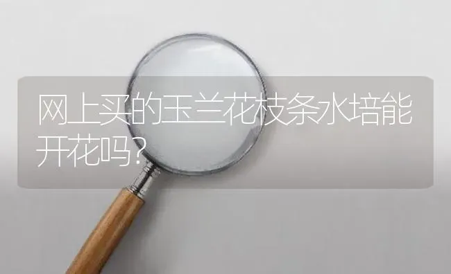 网上买的玉兰花枝条水培能开花吗？ | 鱼类宠物饲养