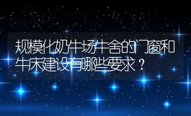 规模化奶牛场牛舍的门窗和牛床建设有哪些要求？ | 动物养殖饲料