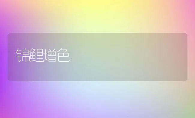 锦鲤增色 | 动物养殖教程