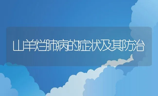 青虾，也可当宠物玩赏 | 海水养殖技术