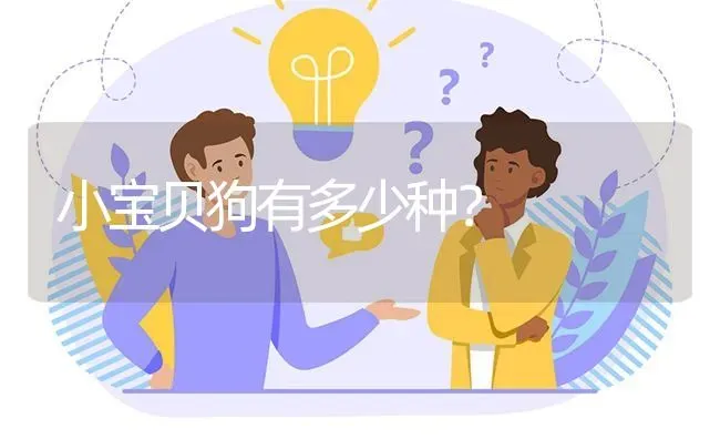 小宝贝狗有多少种？ | 动物养殖问答