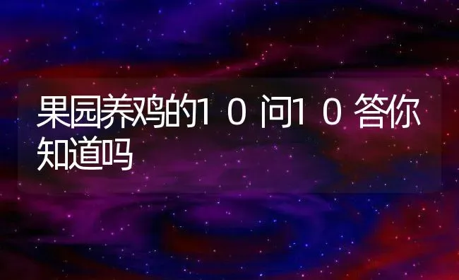 果园养鸡的10问10答你知道吗 | 动物养殖百科