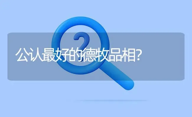 公认最好的德牧品相？ | 动物养殖问答