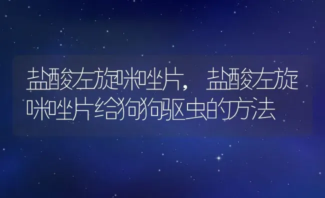 盐酸左旋咪唑片,盐酸左旋咪唑片给狗狗驱虫的方法 | 宠物百科知识