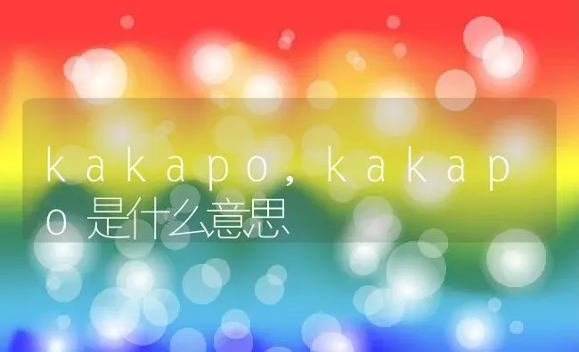 kakapo,kakapo是什么意思 | 宠物百科知识