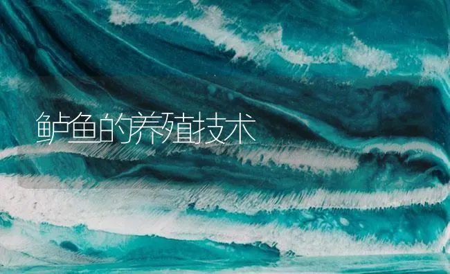 鲈鱼的养殖技术 | 海水养殖技术