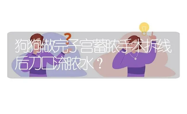 狗狗做完子宫蓄脓手术拆线后刀口流脓水？ | 动物养殖问答