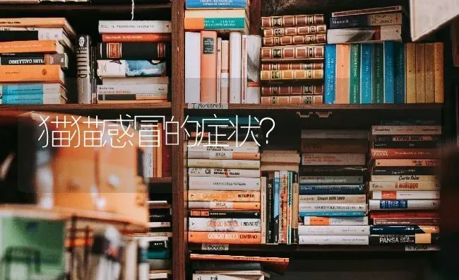 4个月萨摩耶有多高？ | 动物养殖问答