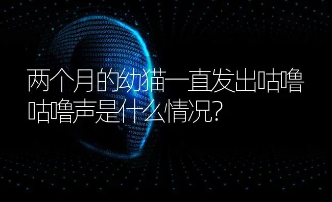 两个月的幼猫一直发出咕噜咕噜声是什么情况？ | 动物养殖问答