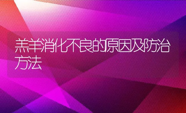 羔羊消化不良的原因及防治方法 | 动物养殖学堂