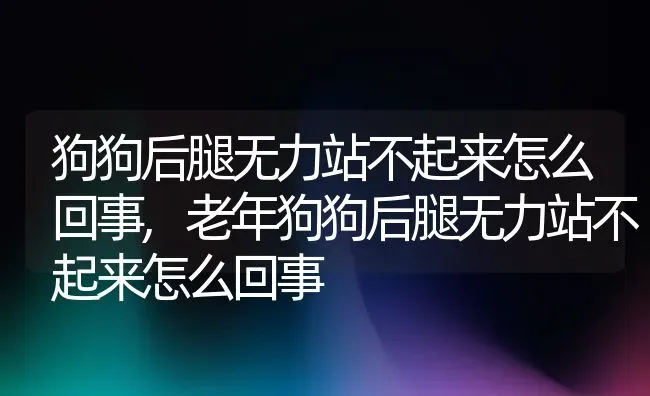 狗狗后腿无力站不起来怎么回事,老年狗狗后腿无力站不起来怎么回事 | 宠物百科知识