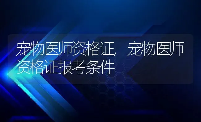 宠物医师资格证,宠物医师资格证报考条件 | 宠物百科知识