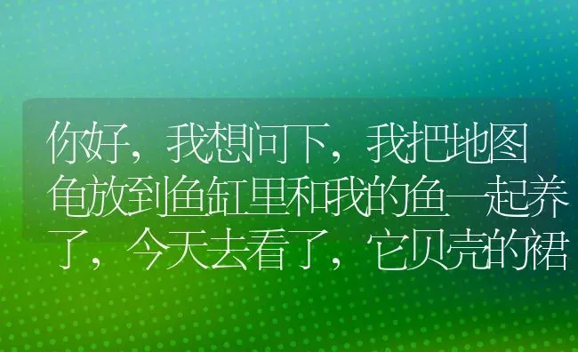 狗狗鼻子不通气打喷嚏？ | 动物养殖问答