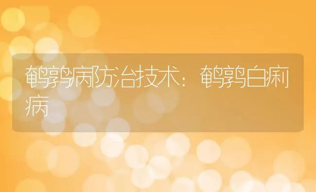 鹌鹑病防治技术：鹌鹑白痢病 | 水产养殖知识