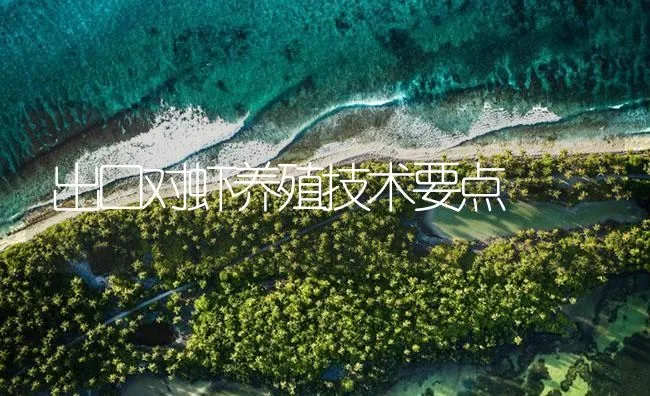 出口对虾养殖技术要点 | 海水养殖技术