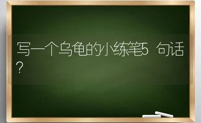 写一个乌龟的小练笔5句话？ | 动物养殖问答