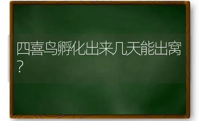 四喜鸟孵化出来几天能出窝？ | 动物养殖问答