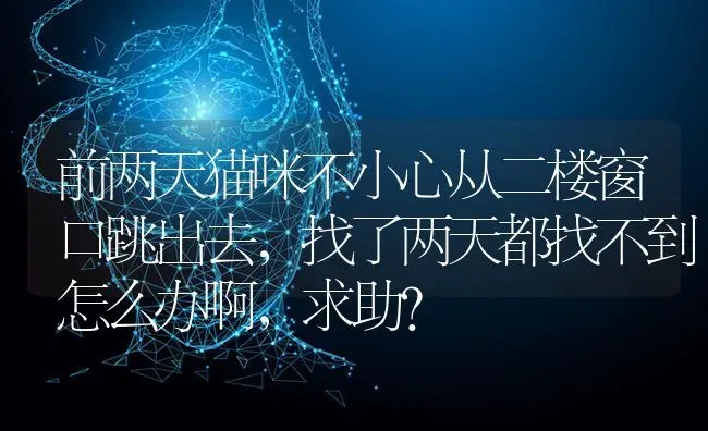 前两天猫咪不小心从二楼窗口跳出去，找了两天都找不到怎么办啊，求助？ | 动物养殖问答