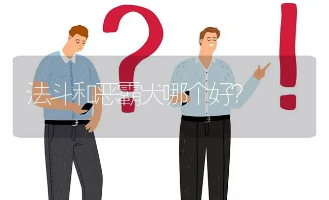 求助，拉布拉多脱毛变秃，拉布拉多斑秃怎么办？ | 动物养殖问答