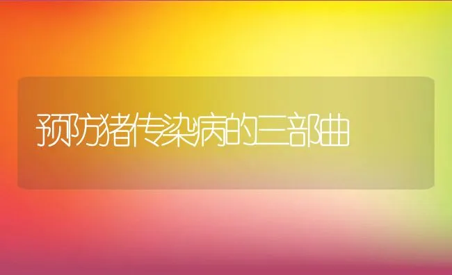 预防猪传染病的三部曲 | 动物养殖学堂