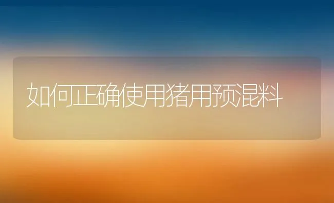 如何正确使用猪用预混料 | 动物养殖饲料