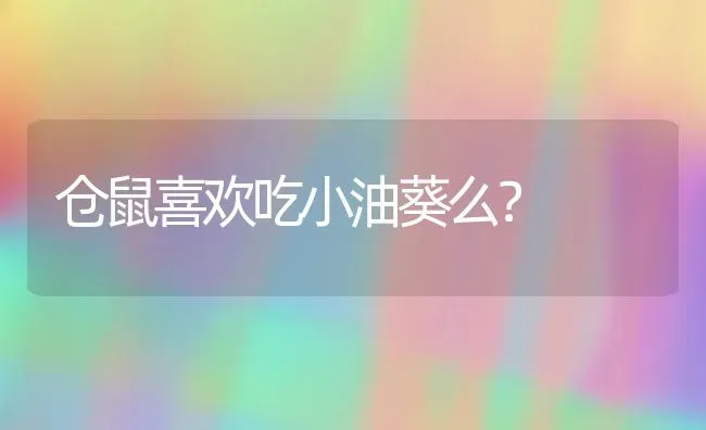 仓鼠喜欢吃小油葵么？ | 动物养殖问答