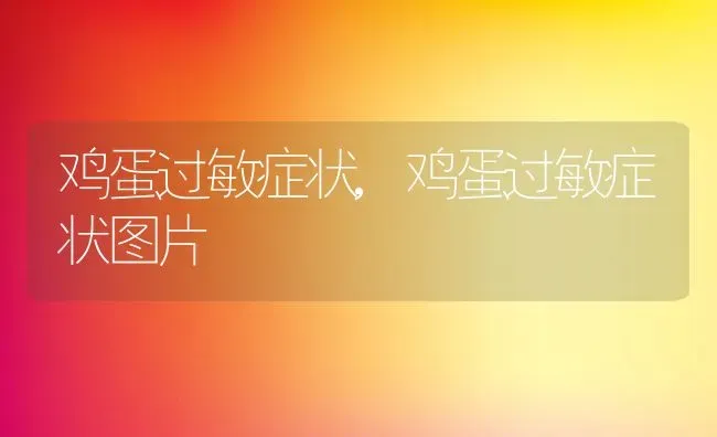 鸡蛋过敏症状,鸡蛋过敏症状图片 | 宠物百科知识