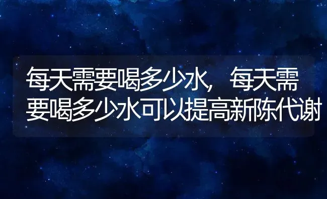 每天需要喝多少水,每天需要喝多少水可以提高新陈代谢 | 宠物百科知识