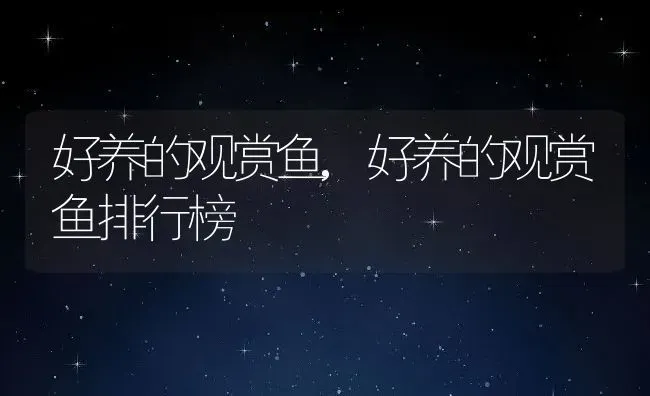 好养的观赏鱼,好养的观赏鱼排行榜 | 宠物百科知识