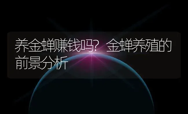 养金蝉赚钱吗?金蝉养殖的前景分析 | 动物养殖百科