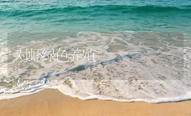 对虾绿色养殖 | 海水养殖技术