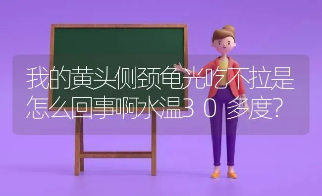 我的黄头侧颈龟光吃不拉是怎么回事啊水温30多度？ | 动物养殖问答