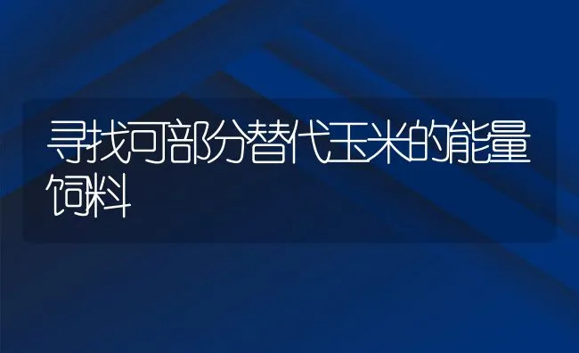 寻找可部分替代玉米的能量饲料 | 动物养殖学堂