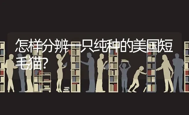 比熊几个月剃胎毛最佳？ | 动物养殖问答