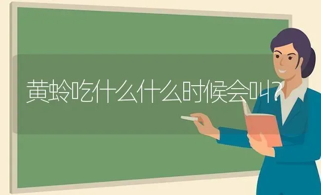 黄蛉吃什么什么时候会叫？ | 动物养殖问答