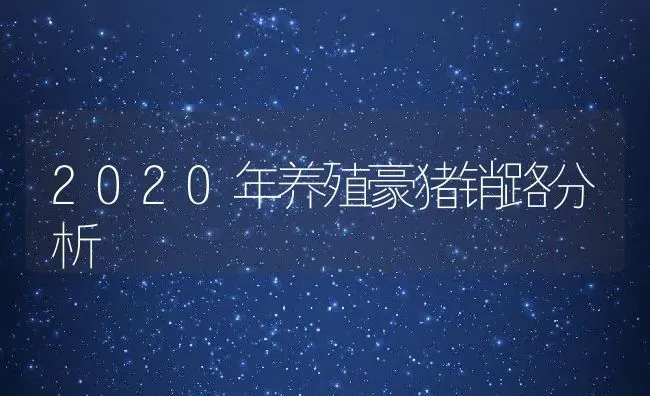 2020年养殖豪猪销路分析 | 动物养殖百科