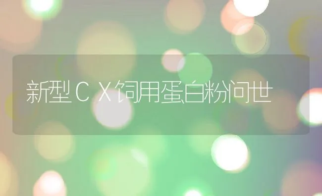 新型ＣＸ饲用蛋白粉问世 | 动物养殖饲料