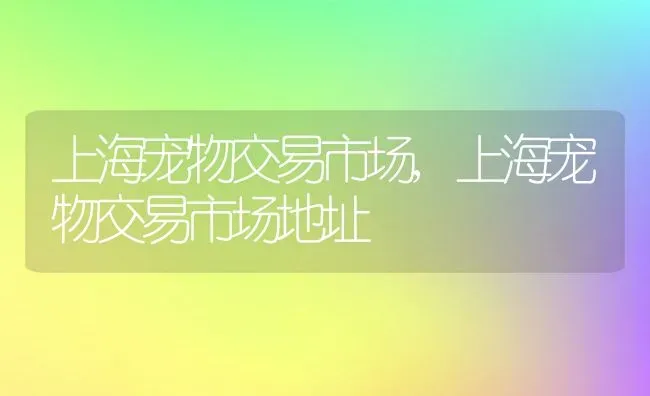 仓鼠咬笼子是什么原因,仓鼠咬笼子是什么原因有磨牙棒 | 宠物百科知识