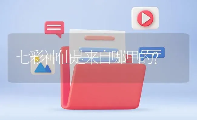 七彩神仙是来自哪里的？ | 鱼类宠物饲养