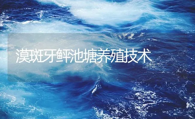 漠斑牙鲆池塘养殖技术 | 海水养殖技术