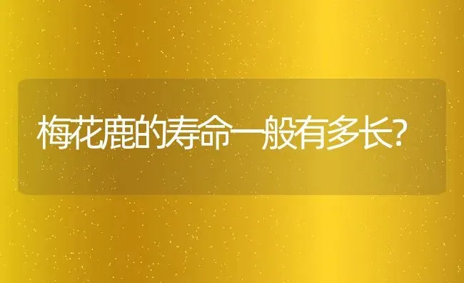 梅花鹿的寿命一般有多长？ | 动物养殖百科