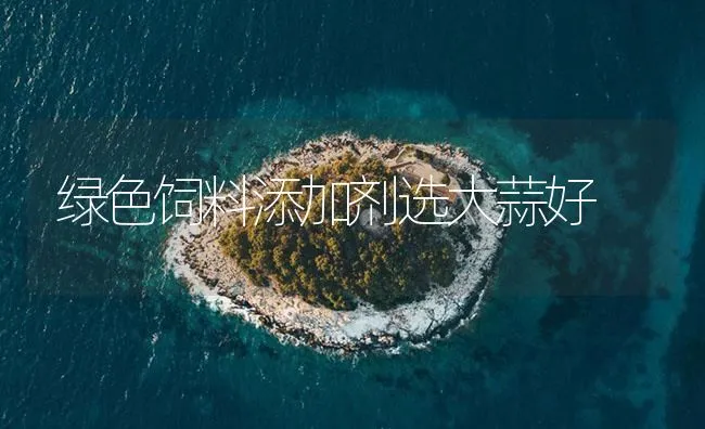 绿色饲料添加剂选大蒜好 | 海水养殖技术