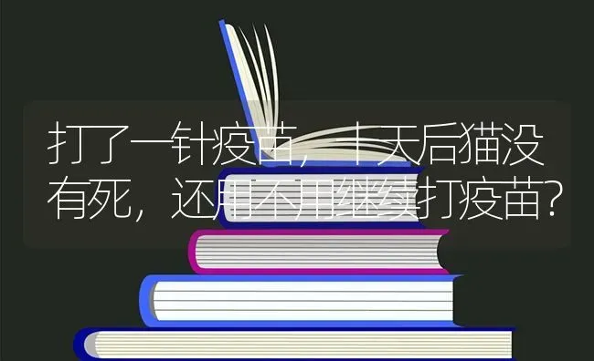 打了一针疫苗，十天后猫没有死，还用不用继续打疫苗？ | 动物养殖问答