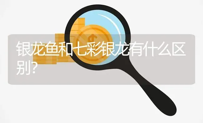 银龙鱼和七彩银龙有什么区别？ | 鱼类宠物饲养