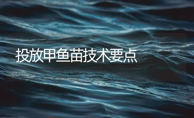 投放甲鱼苗技术要点 | 海水养殖技术