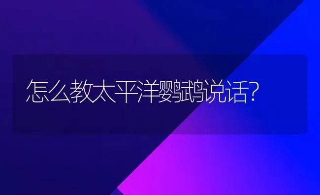 怎么教太平洋鹦鹉说话？ | 动物养殖问答